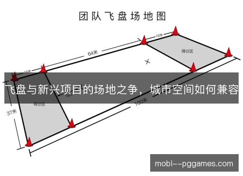 飞盘与新兴项目的场地之争，城市空间如何兼容